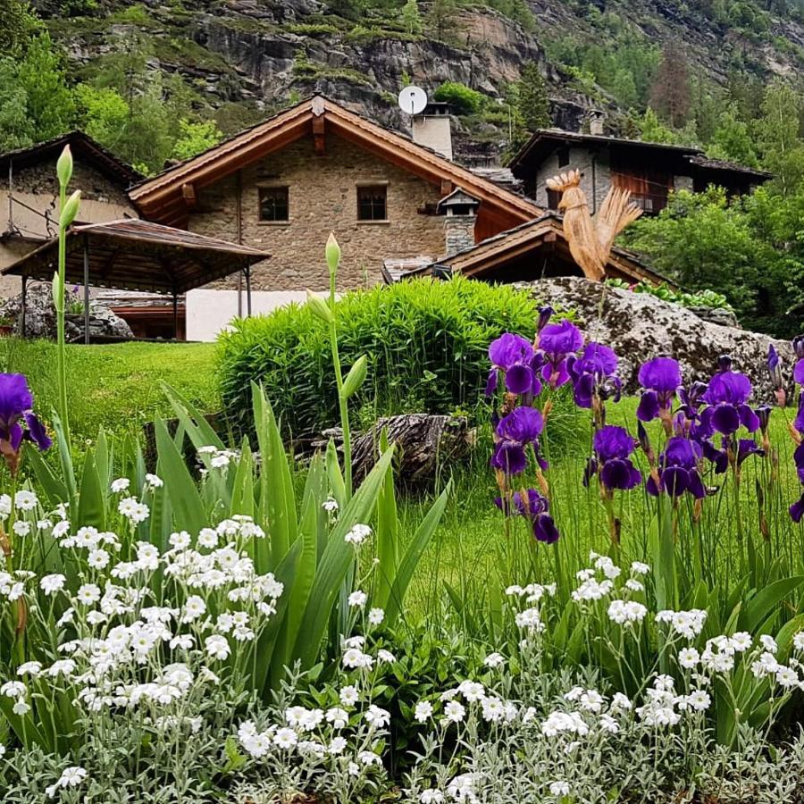 B&B Lo Djoua De Toueno Arvier Buitenkant foto